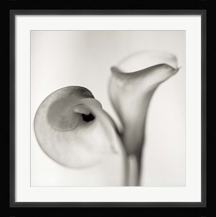 Framed Florison 35 Print