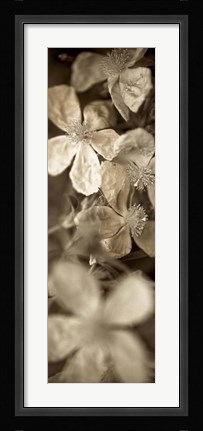 Framed Florison 69 Print