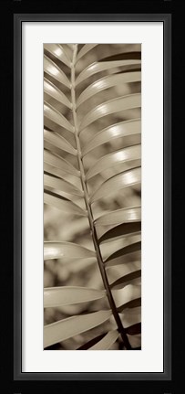 Framed Florison 92 Print