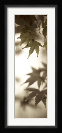 Framed Florison 97 Print