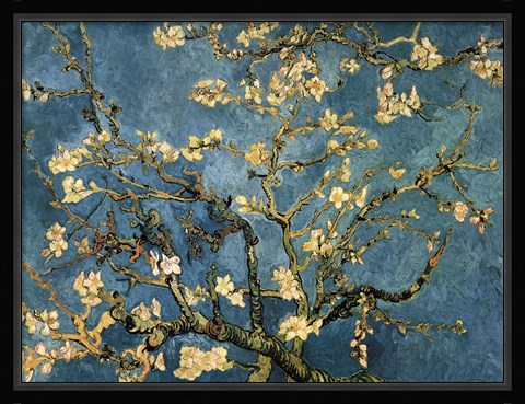 Framed Blossoming Almond Tree, Saint-Remy, c.1890 Print