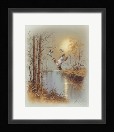 Framed Ducks B Print