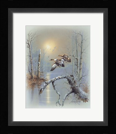 Framed Ducks D Print