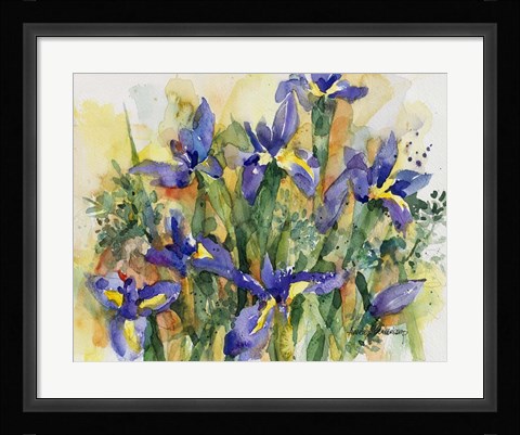 Framed Indelible Irises Print