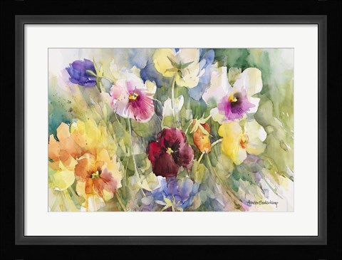 Framed Pansies Posing Print