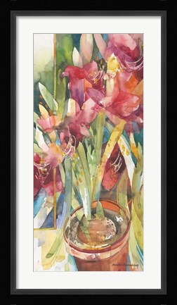 Framed Architectural Amaryllis Print