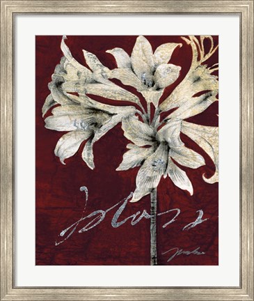 Framed Cabernet Blossoms II Print