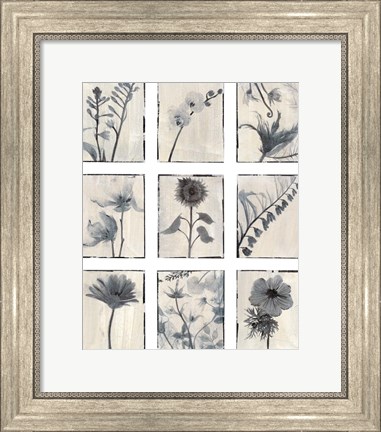 Framed Silk Botanicals Print