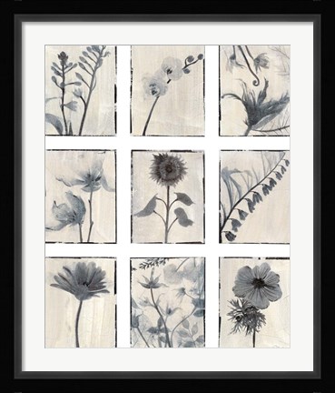 Framed Silk Botanicals Print