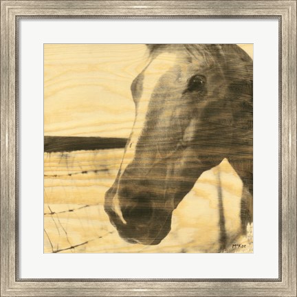 Framed Portrait of a Horse Print