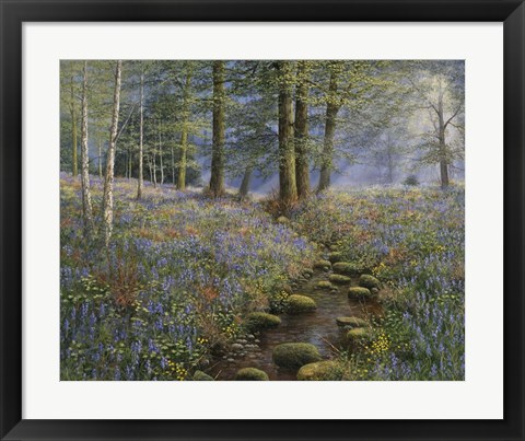 Framed Bluebell Wood Print