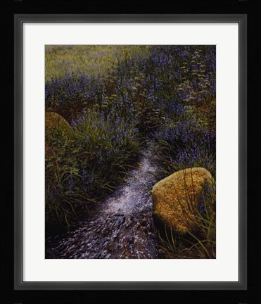 Framed Sparkling Water Print