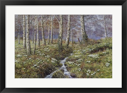 Framed Snowdrop Dell Print