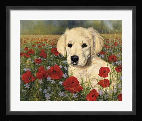 Framed Puppy And Poppies Print