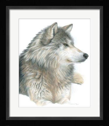 Framed Wolf Print