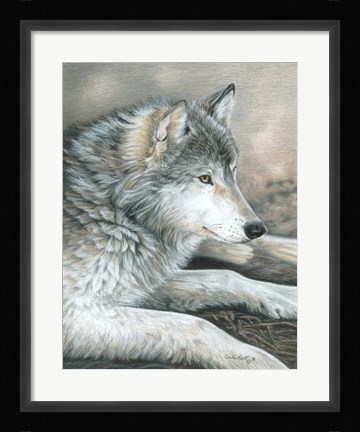 Framed Calm Wolf Print