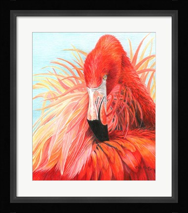 Framed Red Flamingo Print