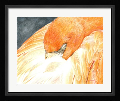 Framed Sleeping Flamingo Print