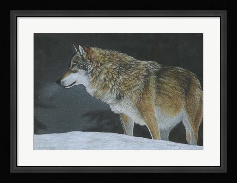 Framed Cold Winters Night Print