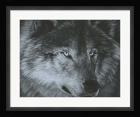 Framed Dark Wolf Print