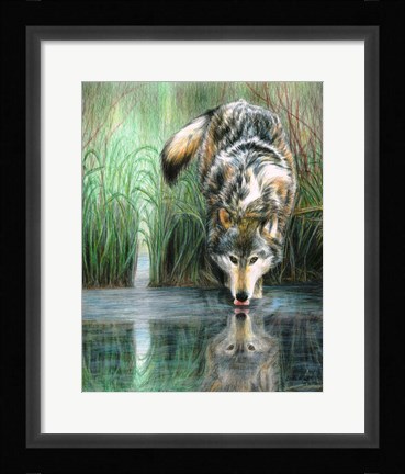 Framed Afternoon Reflection Print