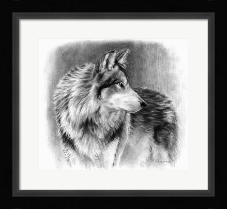 Framed Cautious Eyes Print