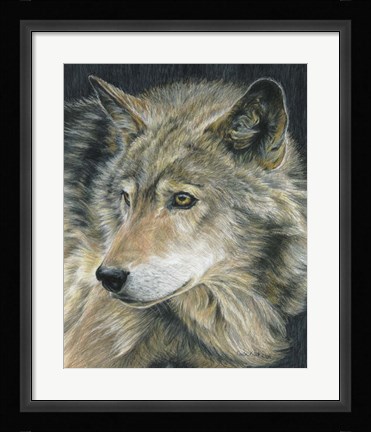 Framed Curious Eyes Print