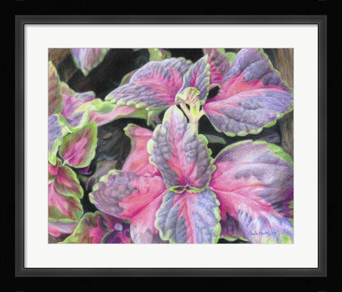 Framed Purple Flowering Plant Print
