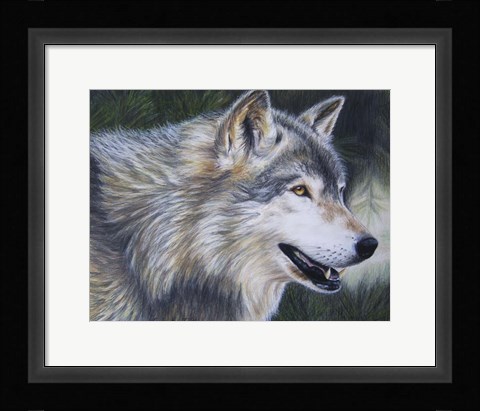 Framed Timber Wolf Dark Print
