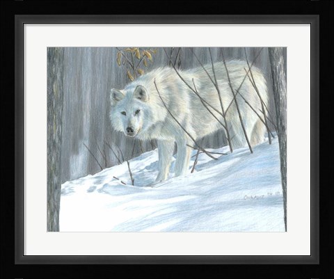 Framed Winter Wolf Print