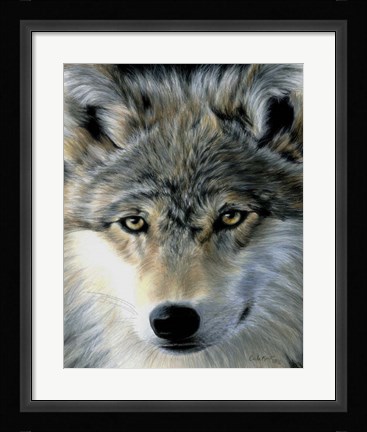 Framed Young Wolf Print