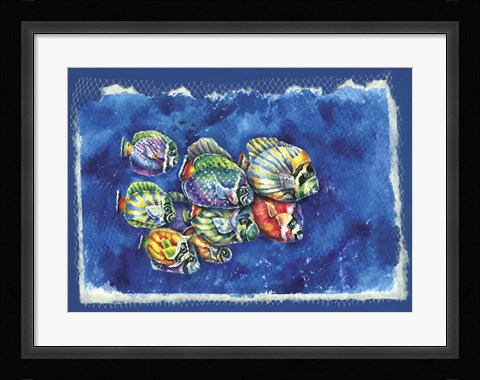 Framed Fish In Net Print