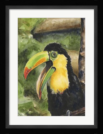 Framed Toucan Bill Print