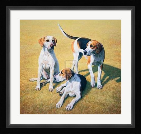 Framed Gary Stinton - Cotswold Foxhounds [Ed 9] Print