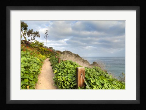 Framed La Jolla Walk Print