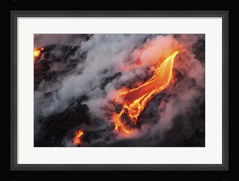 Framed Dragon's Tongue Print
