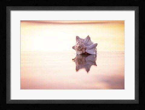 Framed King of the Beach Print