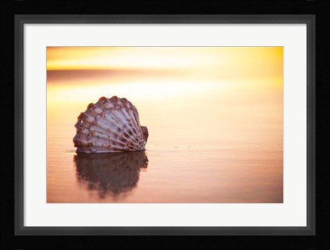 Framed Battered But Beautiful Print