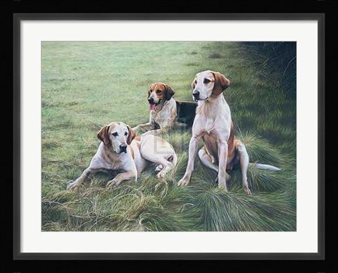 Framed Gary Stinton - Duke of Beaufort's Hounds [Ed 9] 29x23 Print Print