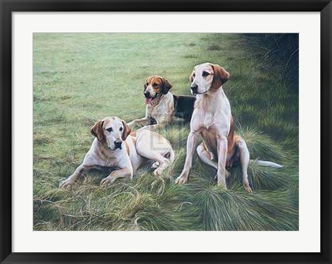 Framed Gary Stinton - Duke of Beaufort's Hounds [Ed 9] 29x23 Print Print