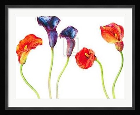 Framed Rosie Sanders - Purple and Mango [Ed 99] Print