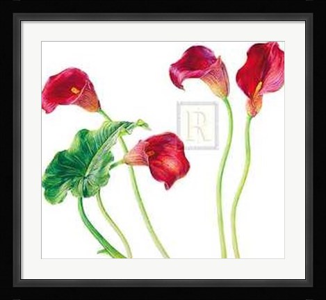 Framed Seeing Red [Ed 99] Print