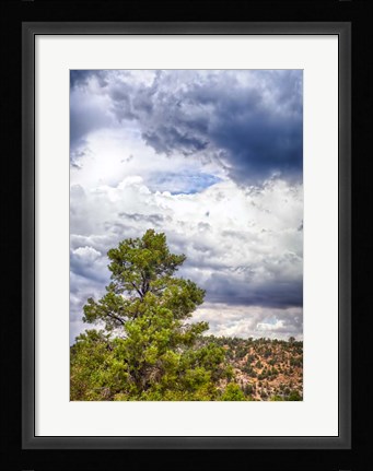 Framed Big Beartree Print