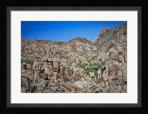 Framed Desert Oasis Print