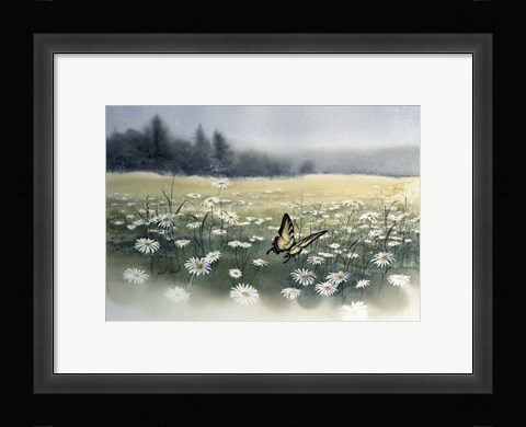 Framed Daisy Field Print