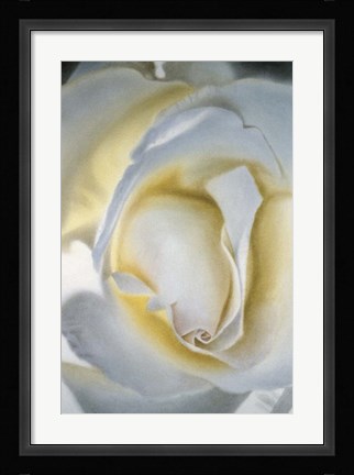 Framed Silver &amp; Gold Print