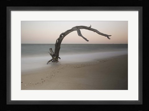 Framed Anthropomorph Print