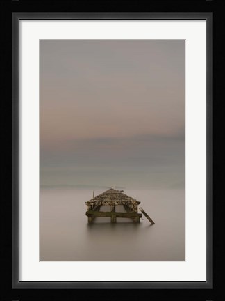 Framed Swimming to Alcatraz III Print
