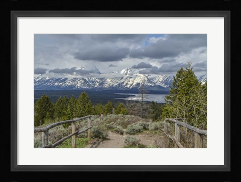 Framed Jackson Lake Overlook G Print