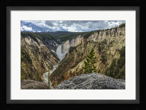 Framed Lower Falls YNP Grand Canyon Print